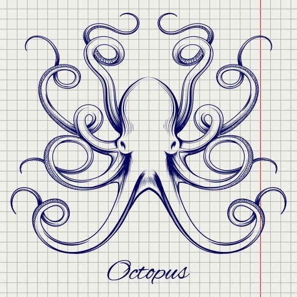 Hand Drawn Pen Sketch Octopus