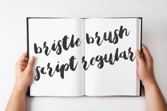 Bristle Brush Script Regular Bristle Brush Script Regular