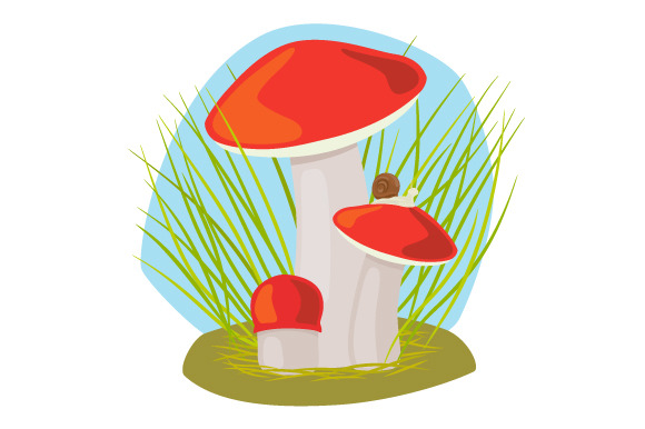 Forest Mushroom Forest Mushroom