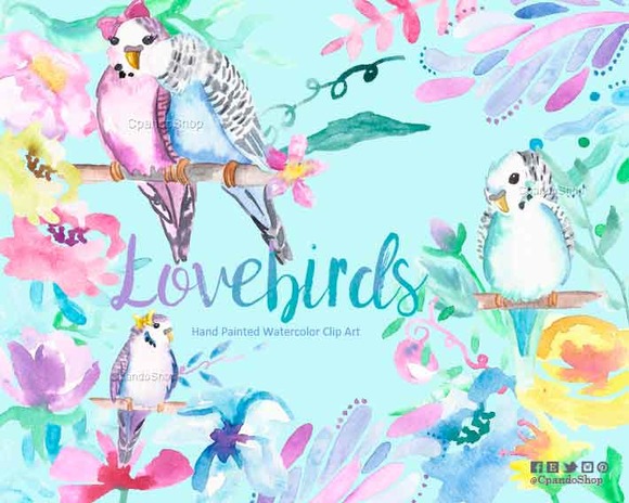 Watercolour Clip Art Lovebirds Watercolour Clip Art Lovebirds