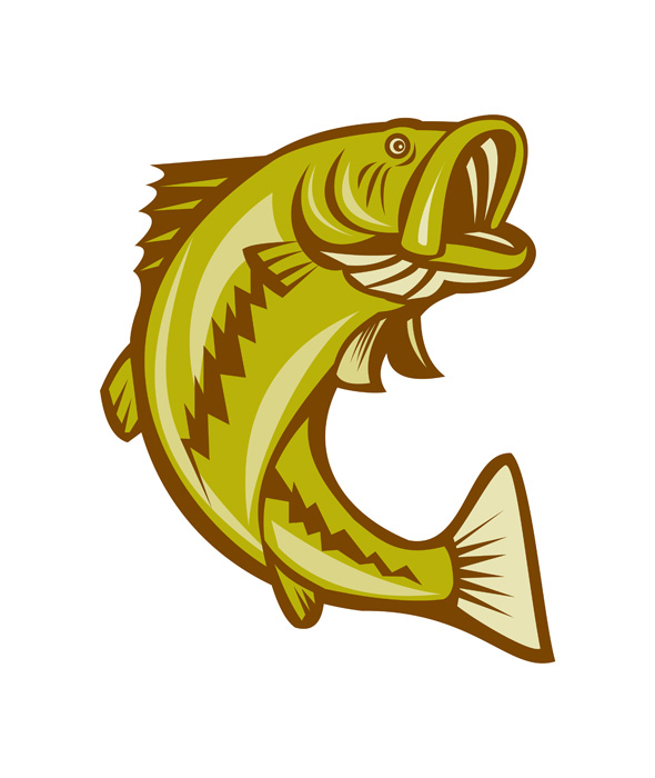 Largemouth Bass Jumping Cartoon Illustrations on Creative Market. 