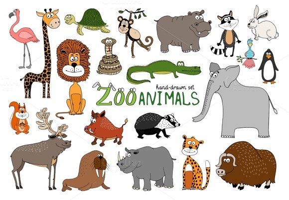 Set of hand-drawn zoo animals ~ Illustrations on Creative Market