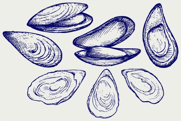 Seafood Shellfish Seafood Shellfish