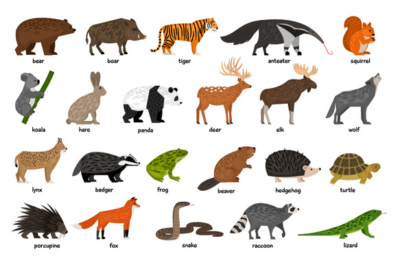 Animated Forest Pictures With Animals » Designtube - Creative Design ...