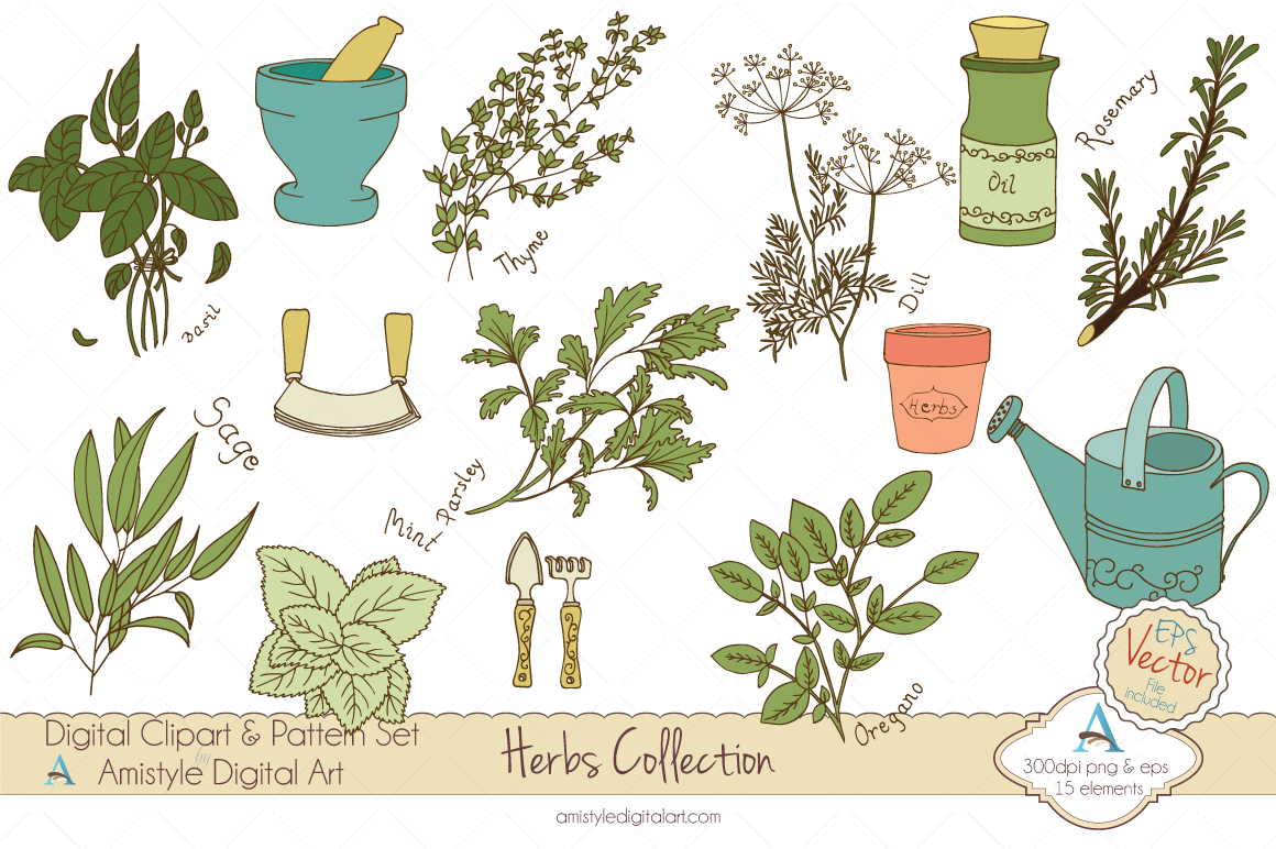 45+ Herbs Clipart Images - Alade