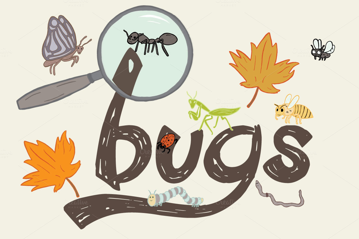 clipart insects and bugs - photo #22