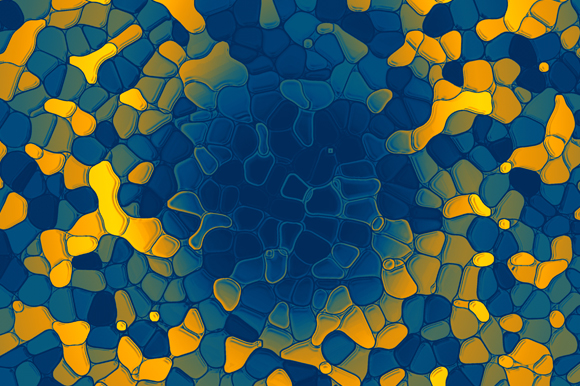 The Background Collection ~ Patterns on Creative Market