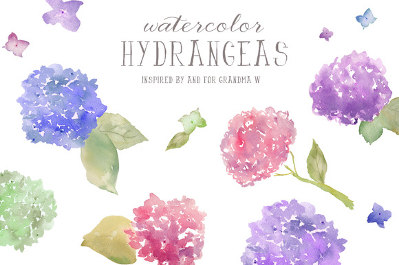 Watercolor Clip Art Hydrangeas ~ Illustrations on Creative Market