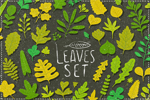 Vector leaves. Nature elements.