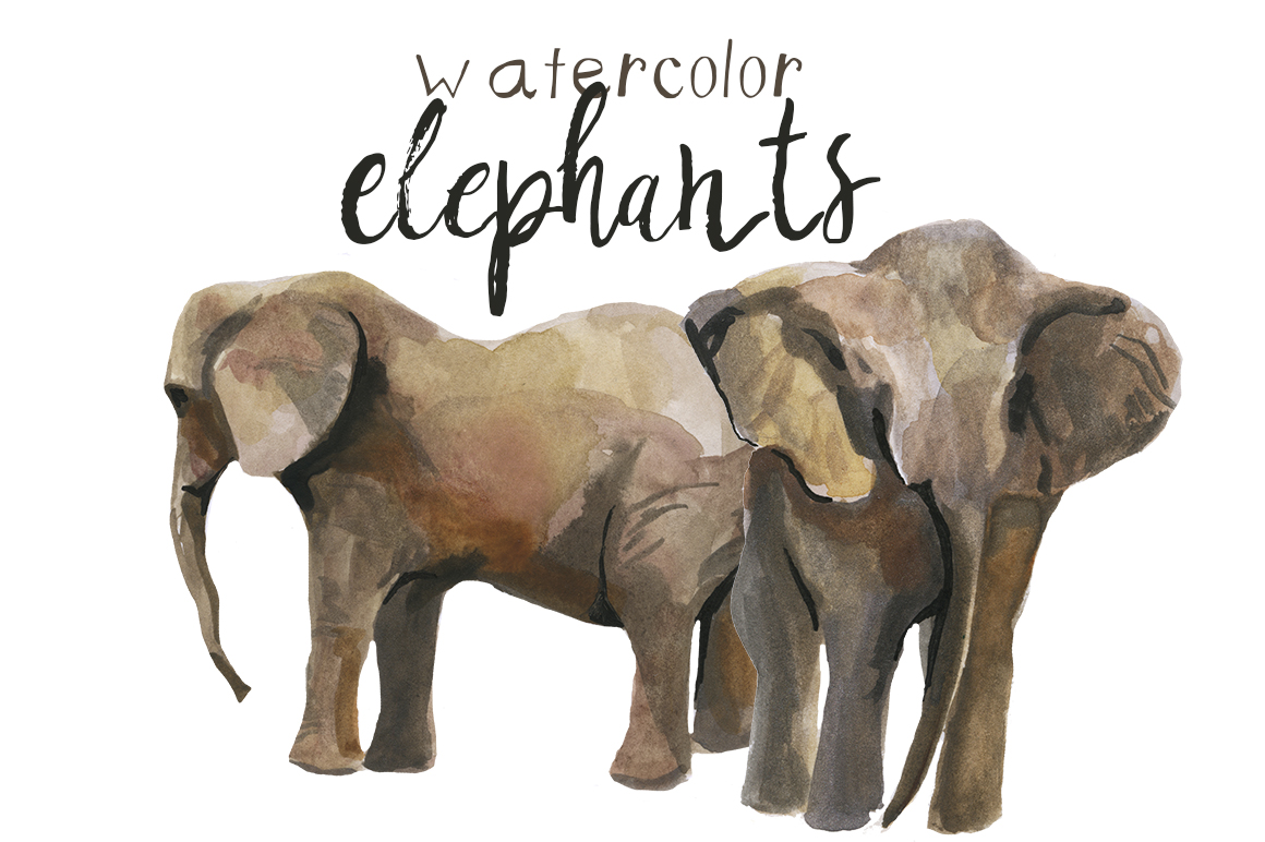 Watercolor Elephants Clip Art Illustrations on Creative Market