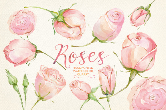 watercolor rose clipart - photo #20