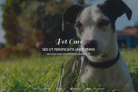 Pet Care Responsive One Page Theme - Websites - 1