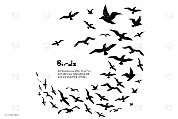 Frame With Birds