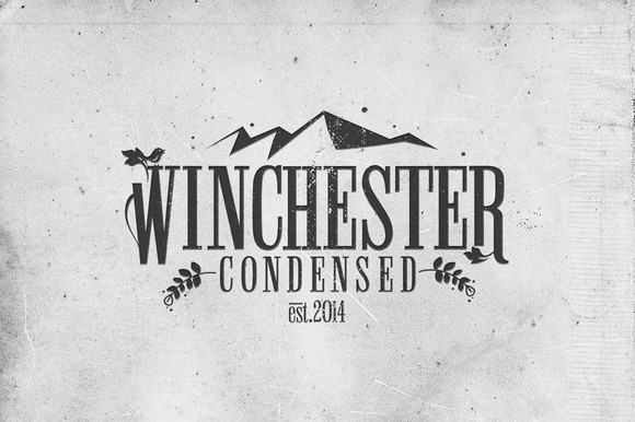 Winchester Condensed Font 04-f