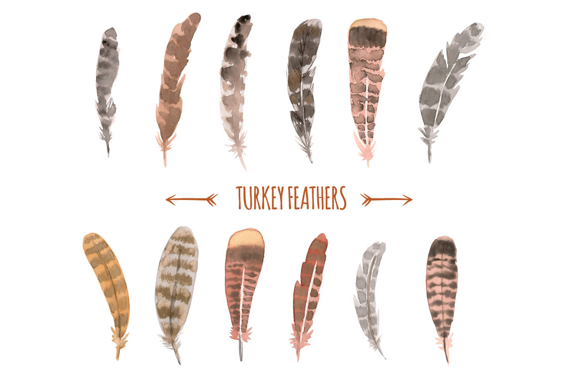 Download Watercolor Turkey Feathers ~ Illustrations on Creative Market