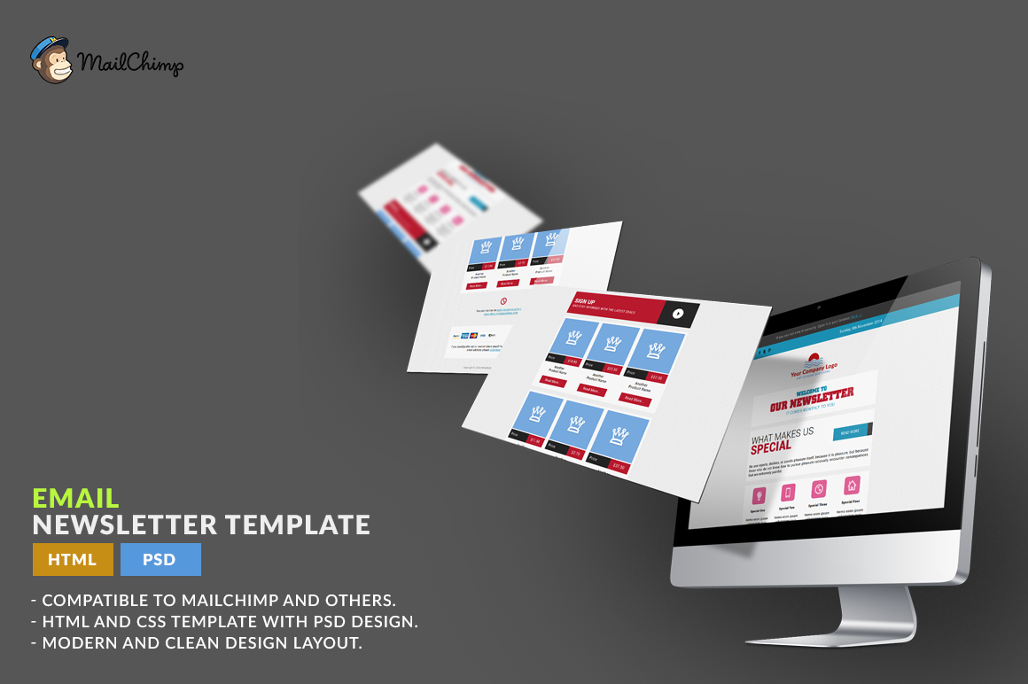 E-Newsletter Template: HTML ~ HTML/CSS Themes on Creative Market