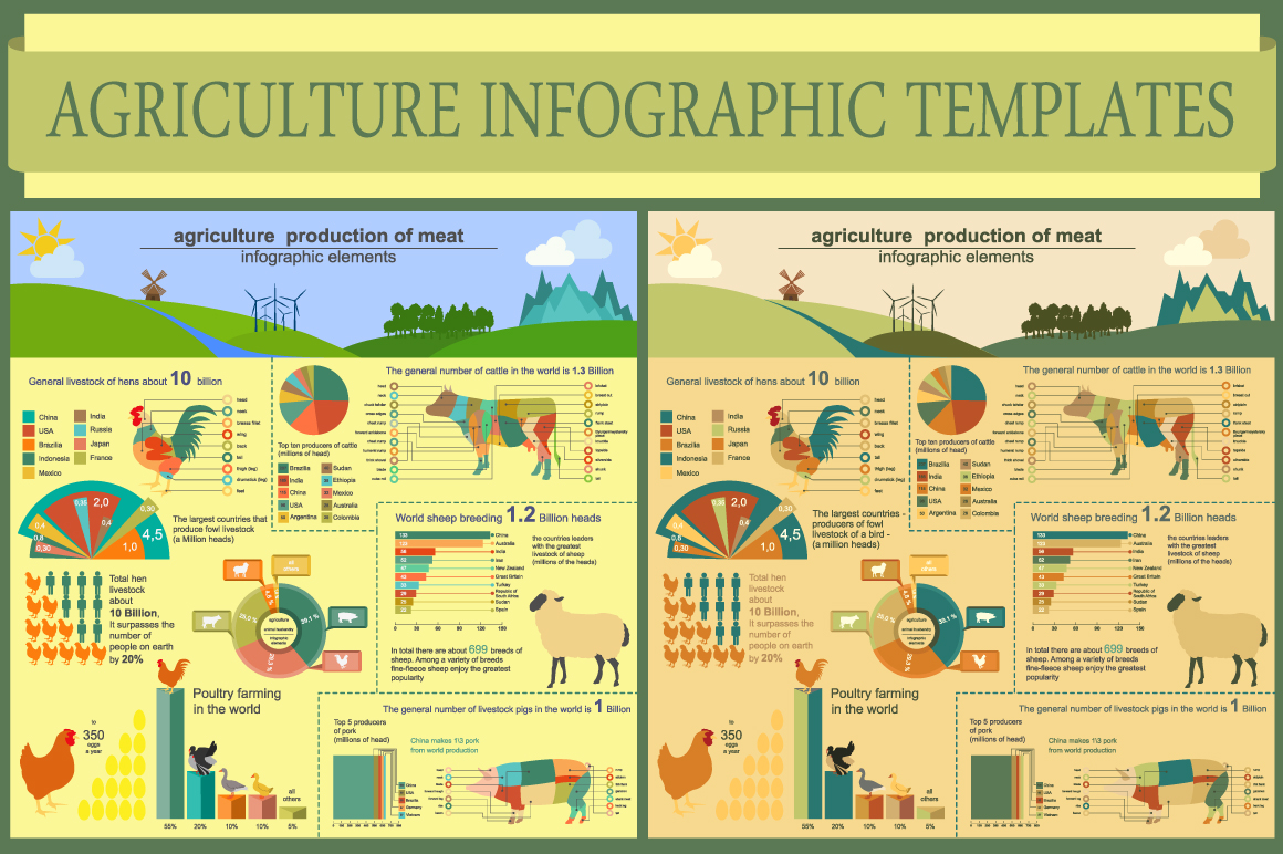 Agriculture infographic templates ~ Illustrations on Creative Market