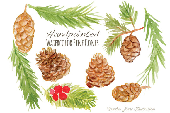 Watercolor Pinecones