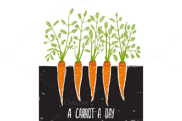 Growing Carrots Scratchy Drawing Growing Carrots Scratchy Drawing