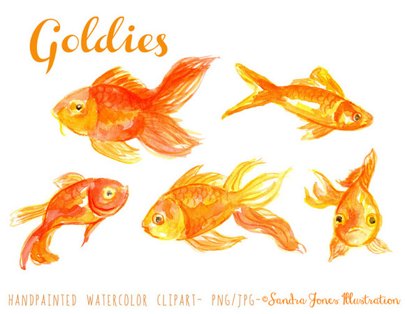 Watercolor Goldfish Illustration