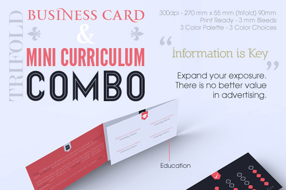 Trifold Business Card CV Combo