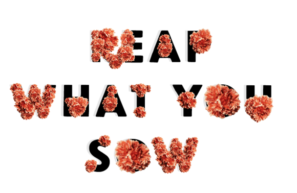 Reap What You Sow Flowers