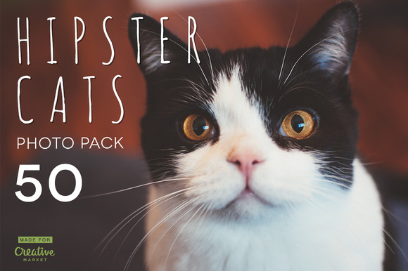 Hipster Cats Photo Pack