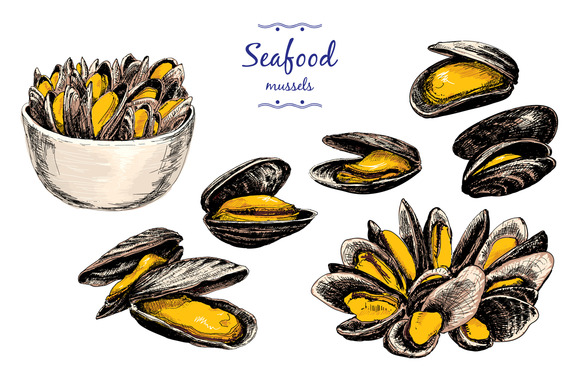 Mussels Set Of Graphic Illustration