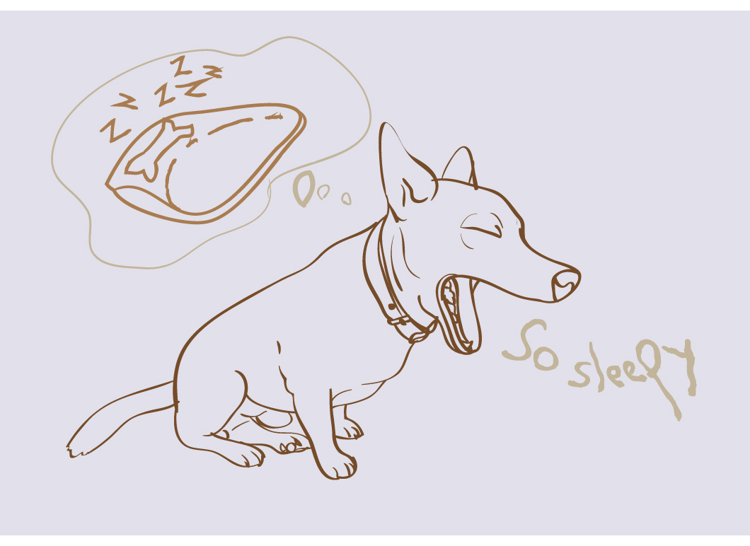 Adorable yawning dog Illustrations on Creative Market