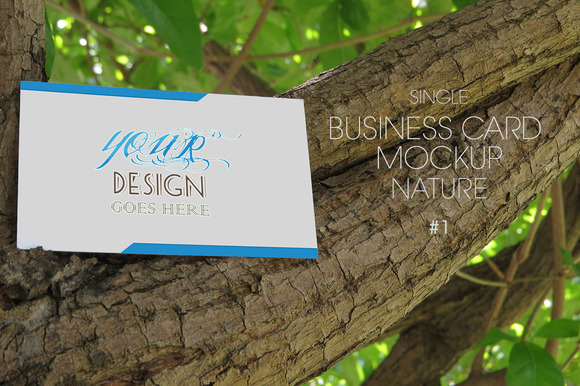 Business Card Mockup Nature #1