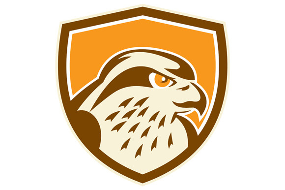 Peregrine Falcon Head Shield Retro