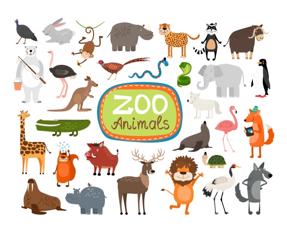 Vector Zoo Animals ~ Illustrations on Creative Market