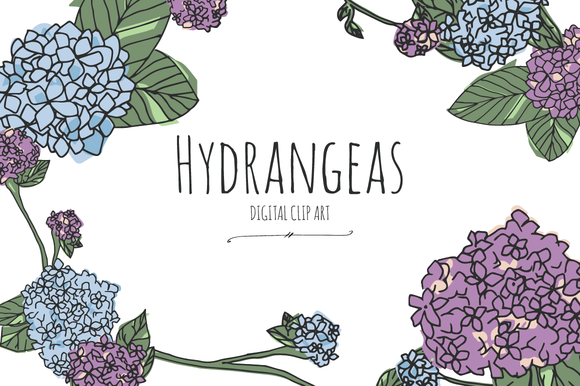 clip art hydrangea flower - photo #36