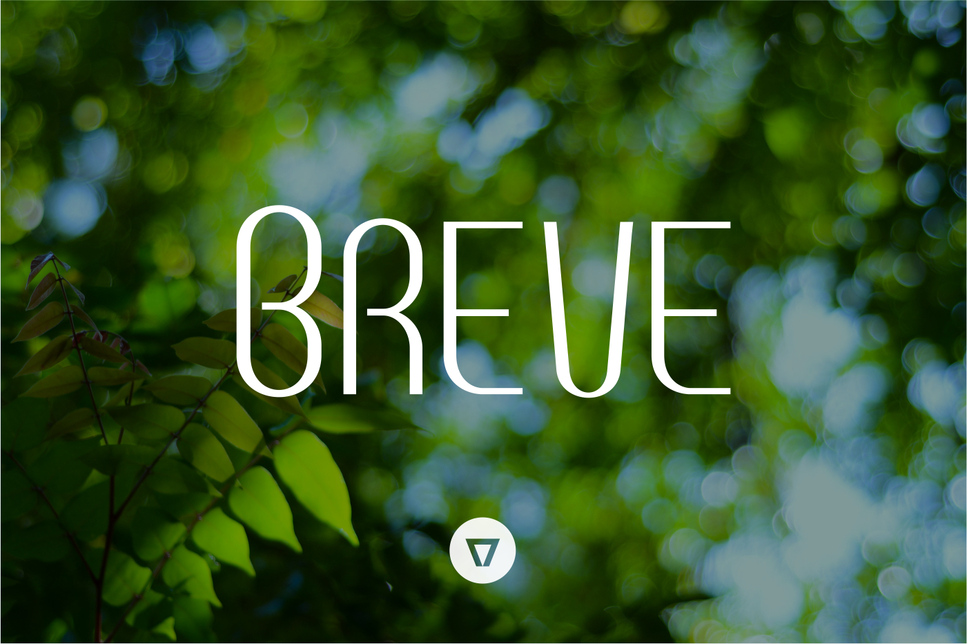 Breve ~ Display Fonts on Creative Market