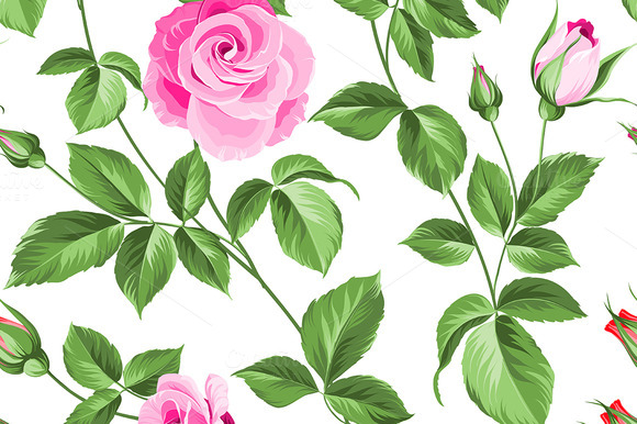 Roses pattern. ~ Patterns on Creative Market