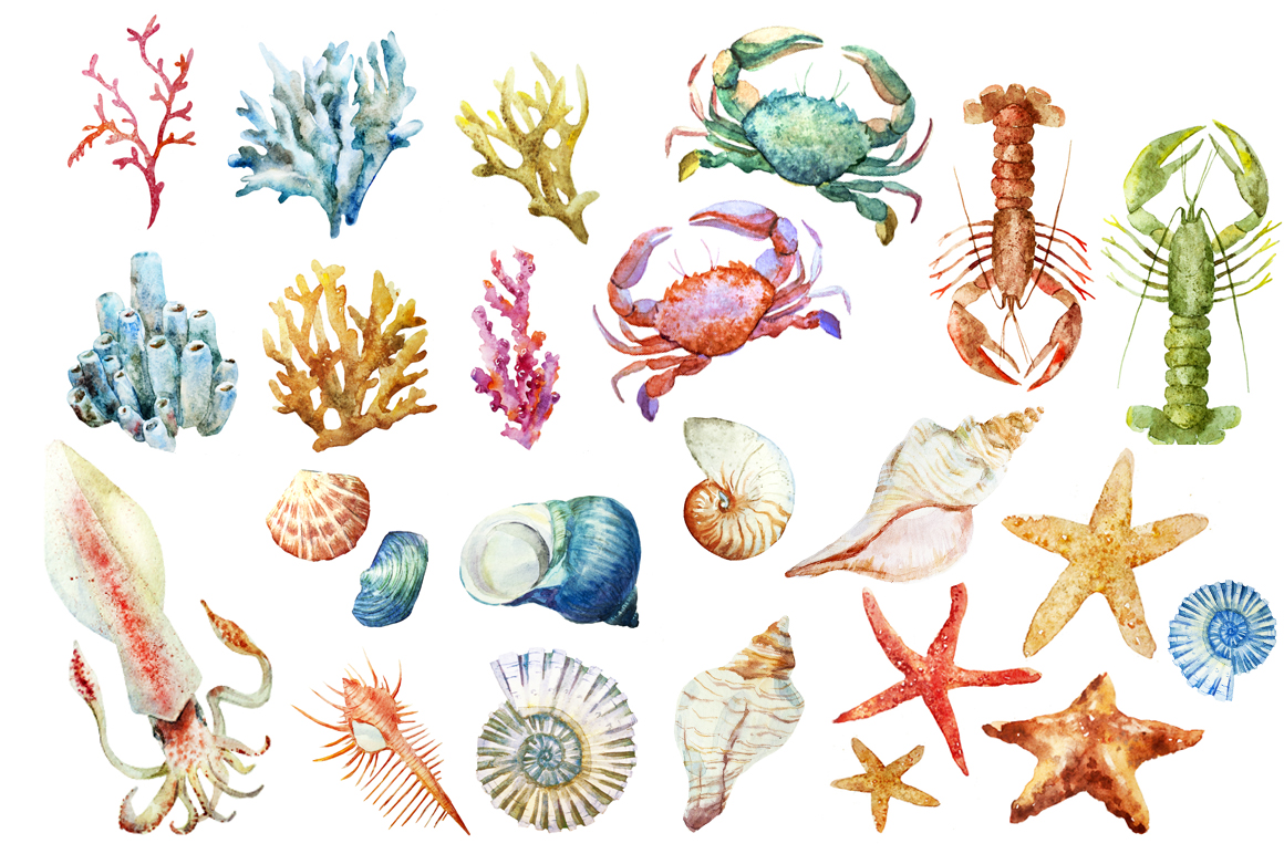 Watercolor sea life SUPER SET ~ Illustrations on Creative Market