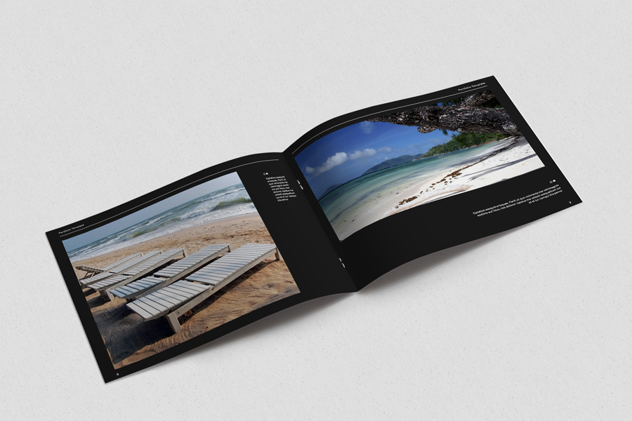 Indesign Portfolio Template ~ Brochure Templates on Creative Market