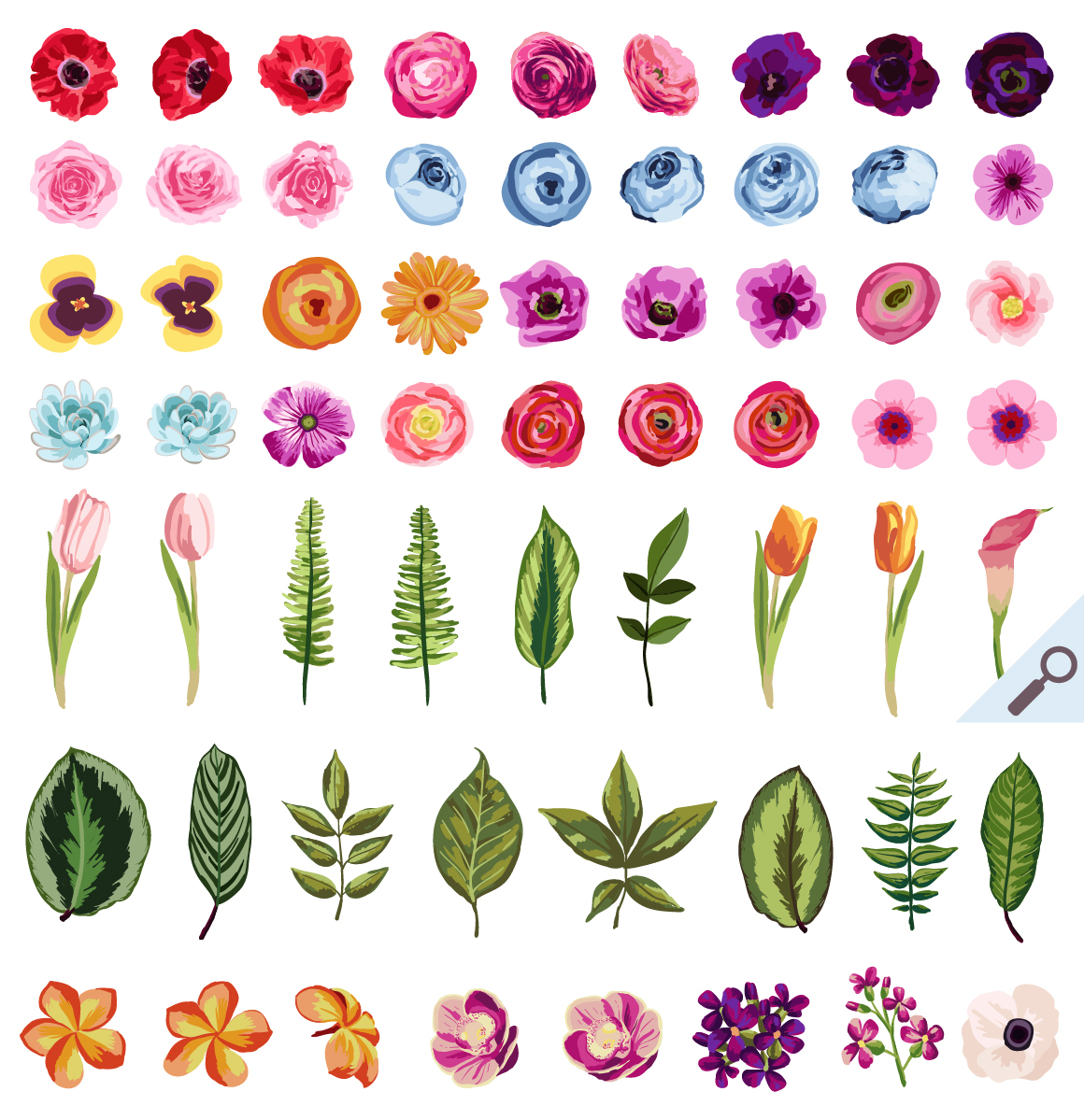DIY Flower Pack Vol.1 Illustrations on Creative Market