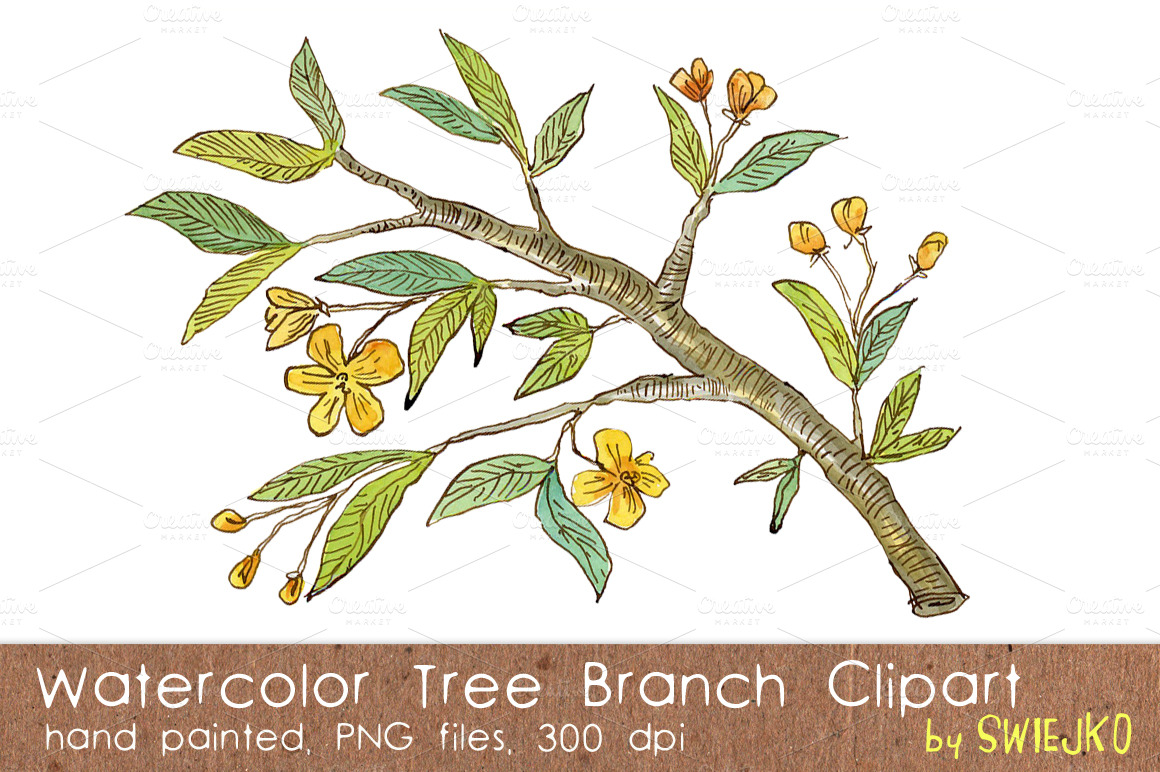 Watercolor Branch, Flowers ~ Illustrations on Creative Market