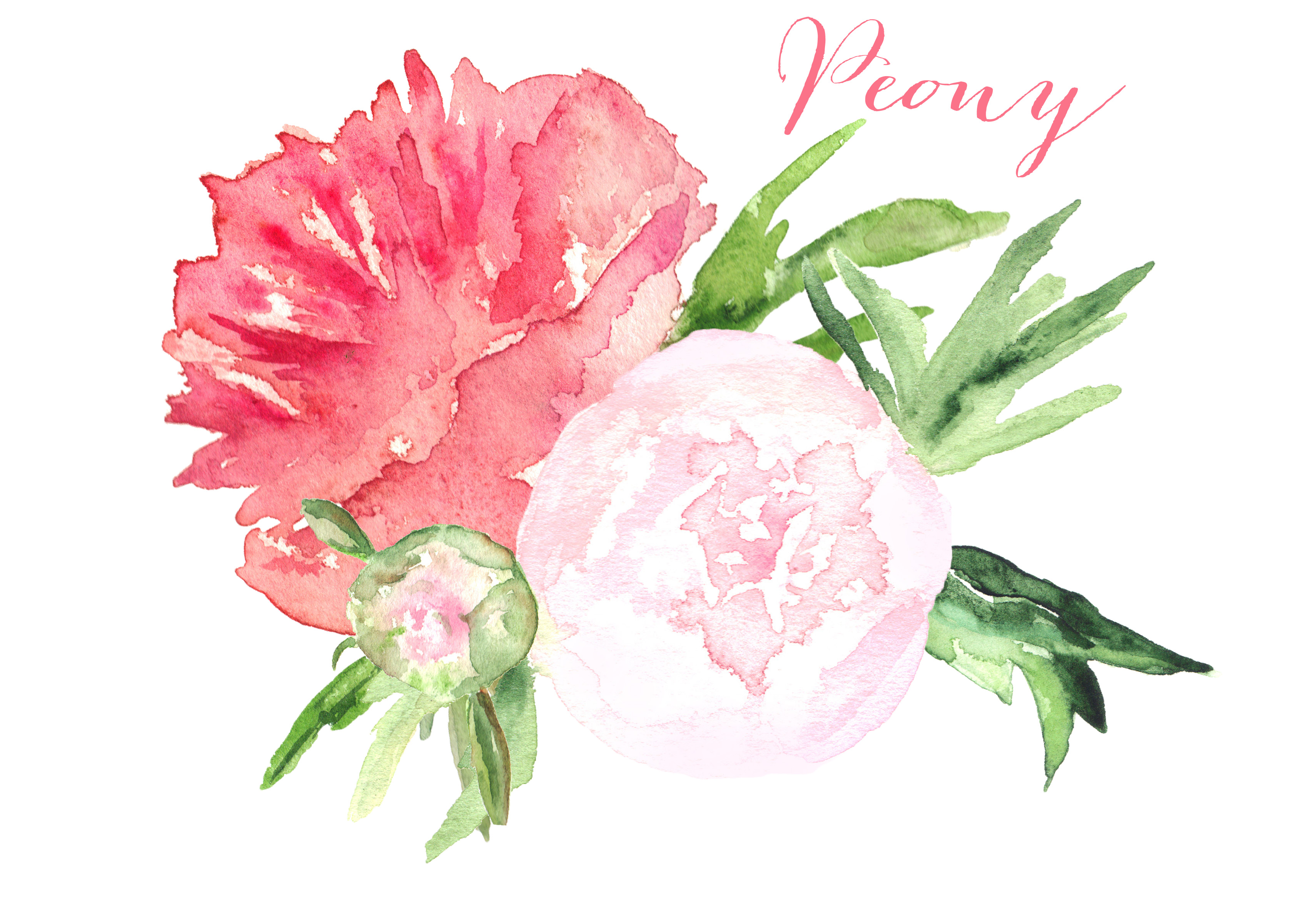watercolor clipart free - photo #37