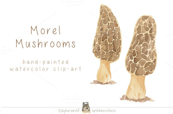 morel mushroom clip art - photo #13