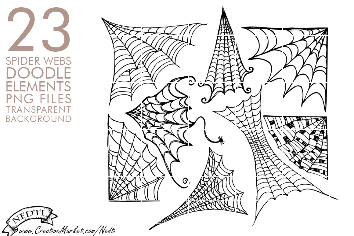 Spider Web Hand Drawn Clipart Png ~ Illustrations On Creative Market