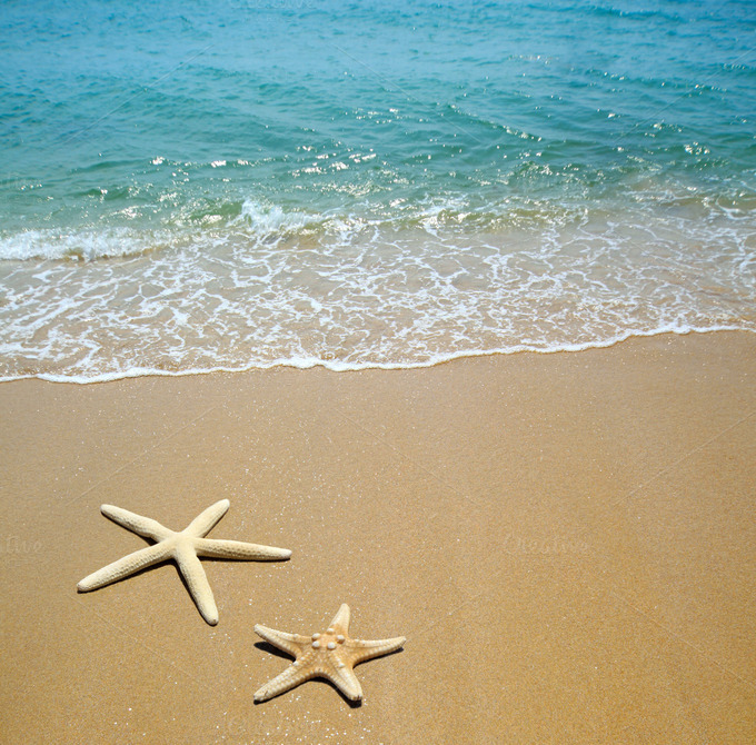 starfish on a beach sand ~ Nature Photos on Creative Market