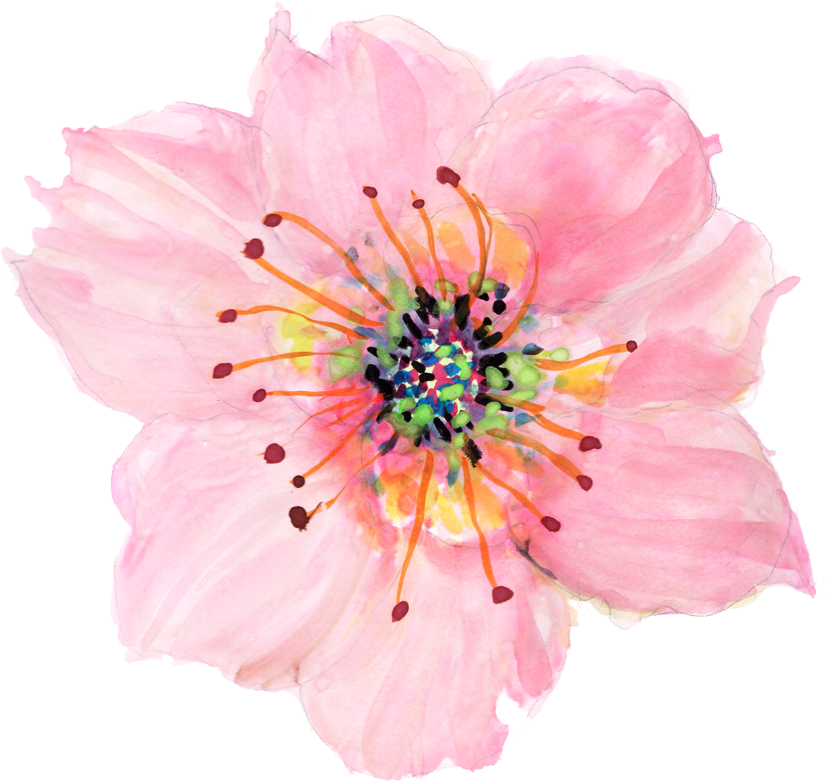 Handpainted Flowers Illustrations on Creative Market