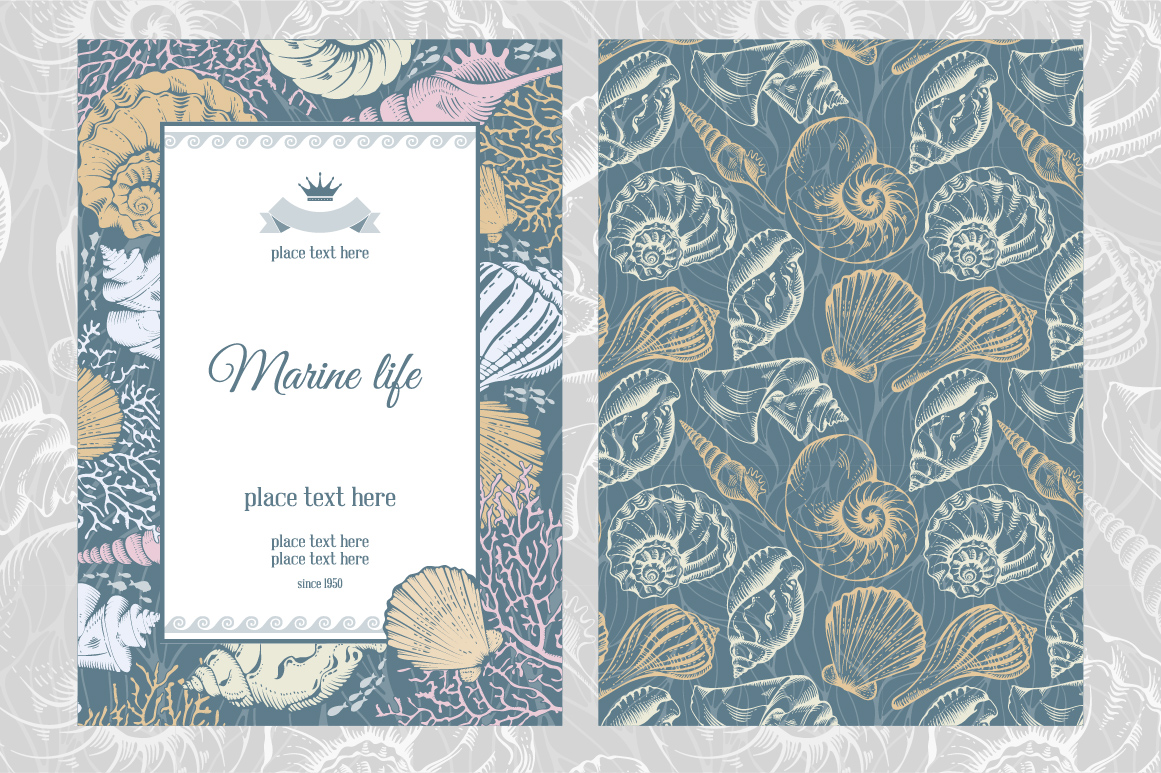 Sea shells set ~ Card Templates on Creative Market