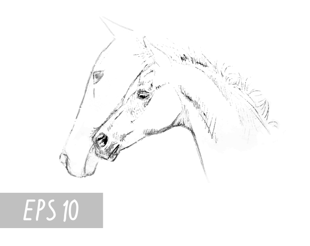  Horses sketches. EPS 10 Illustrations on Creative Market