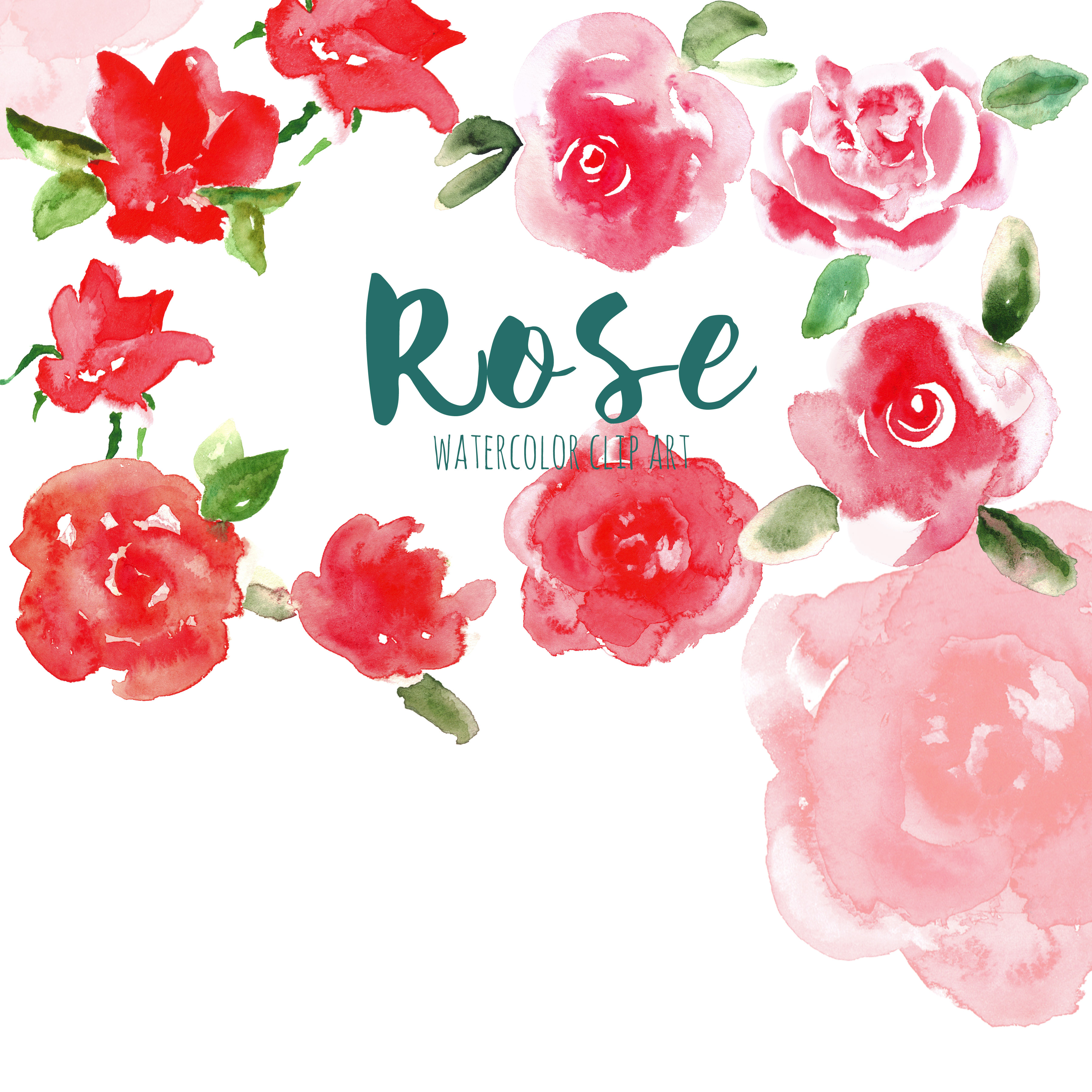 Red Rose. Watercolor clip art ~ Graphics on Creative Market