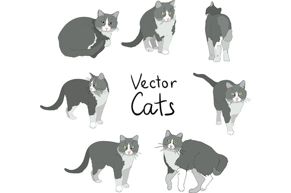  Cats  poses  set Illustrations on Creative Market