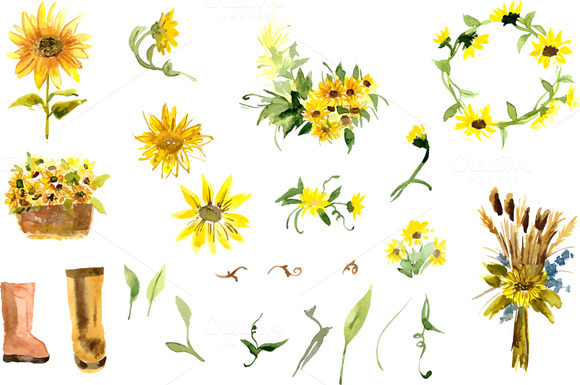 ¡í2 Composition Of Yellow Sunflower ¡í2 Composition Of Yellow Sunflower