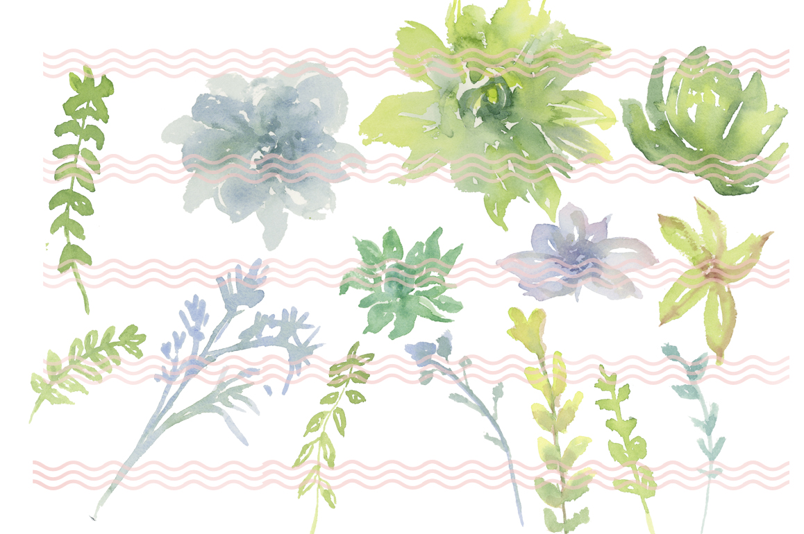 Digital Soft Watercolor Succulents I ~ Illustrations on Creative Market